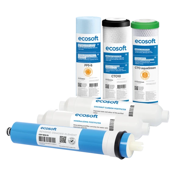 Комплект картриджів Ecosoft Absolute “12 місяців” (CHV6ECOABS)