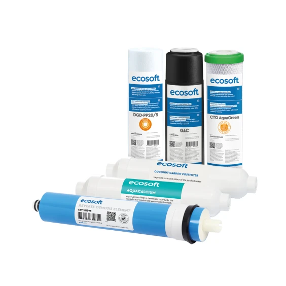 Комплект картриджів Ecosoft PURE AquaCalcium Mint “12 місяців”